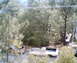 Ranchero Row  back view001.jpg